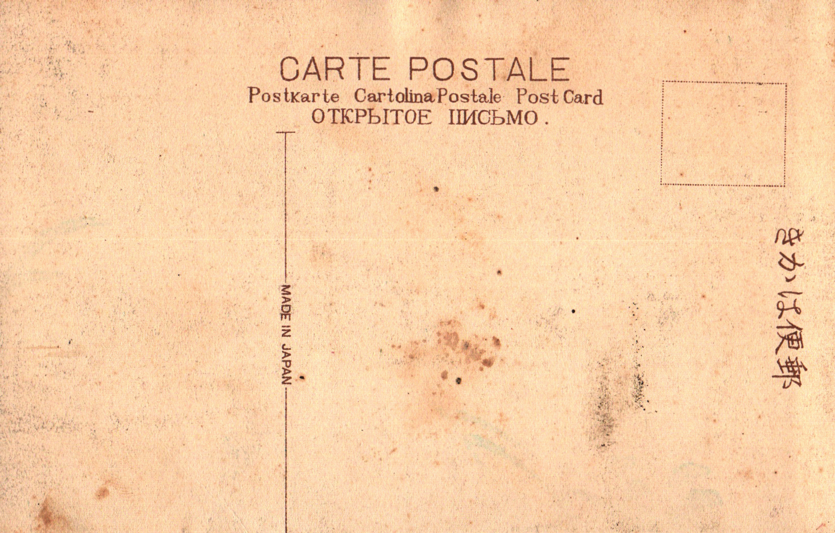 pc2026-01-14_173358 - Back