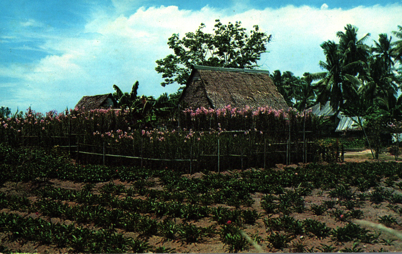 pc2026-01-14_173419 - Front