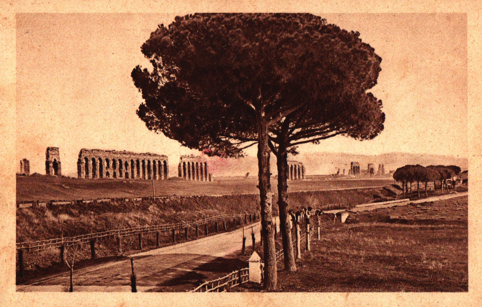 pc2026-01-14_180429 - Front