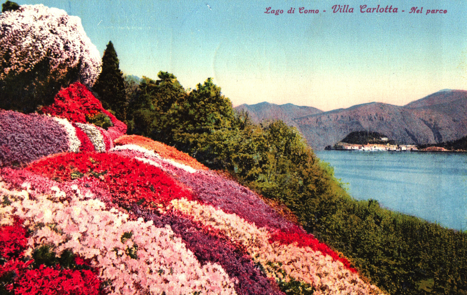 pc2026-01-14_180435 - Front