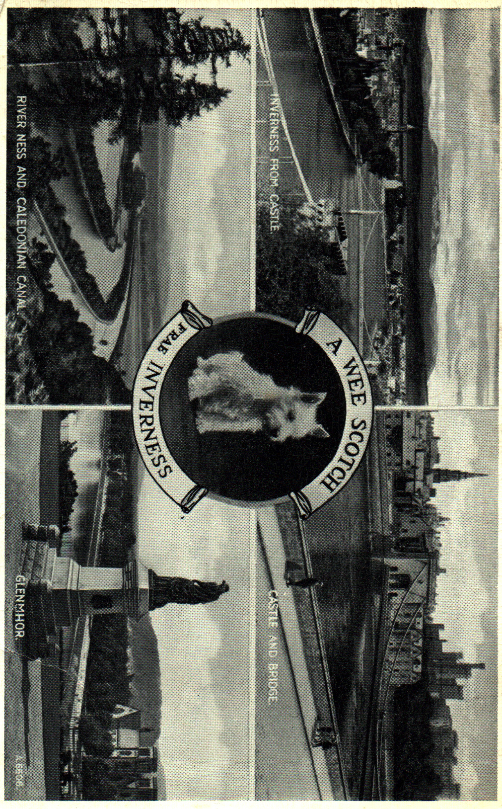 pc2026-01-14_173654 - Front