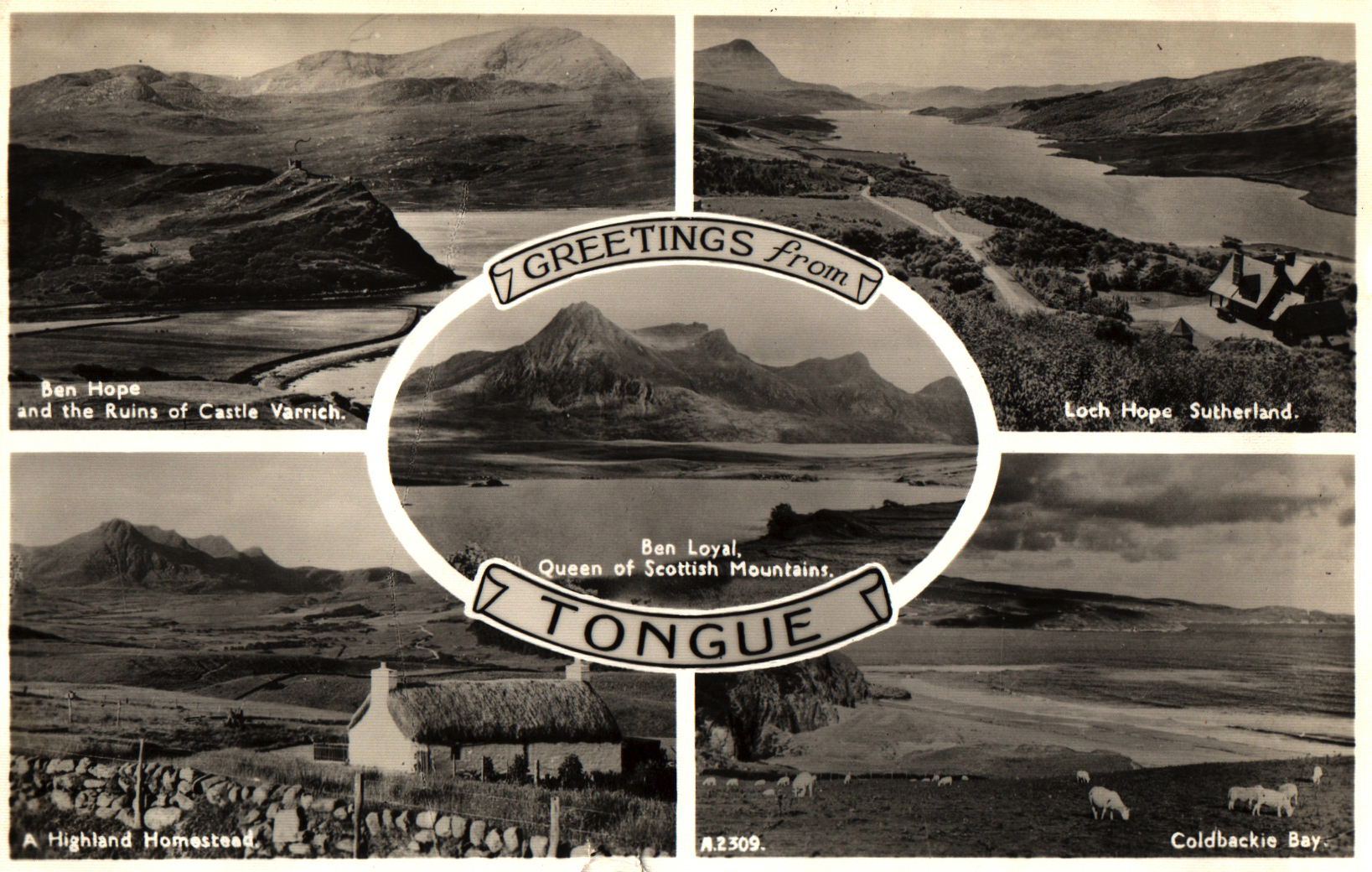 pc2026-01-14_174234 - Front